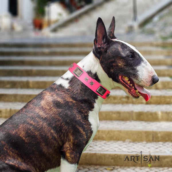 English Bull Terrier embellished genuine leather collar with corrosion proof fittings