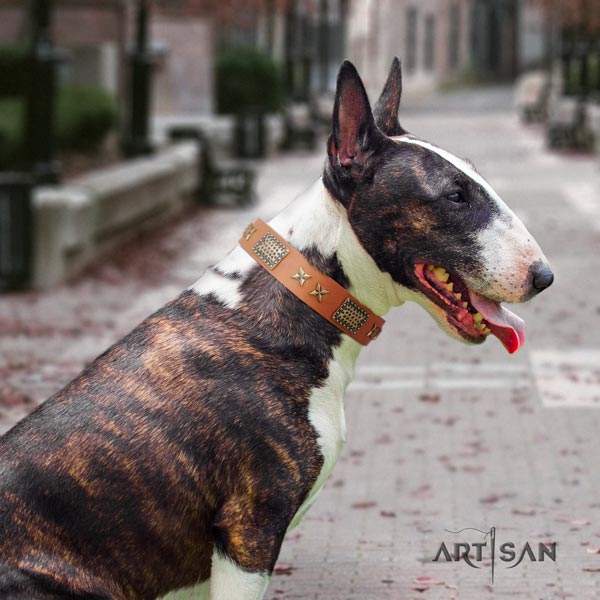 English Bull Terrier best quality leather collar with corrosion resistant d-ring