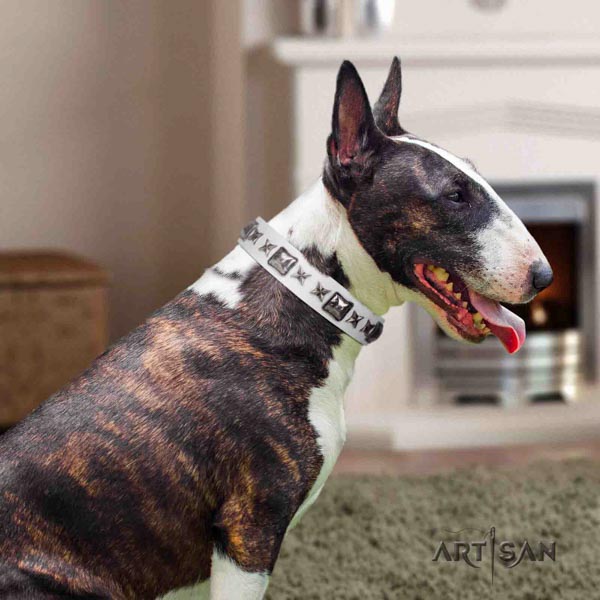 English Bull Terrier designer full grain natural leather collar with rust-proof buckle