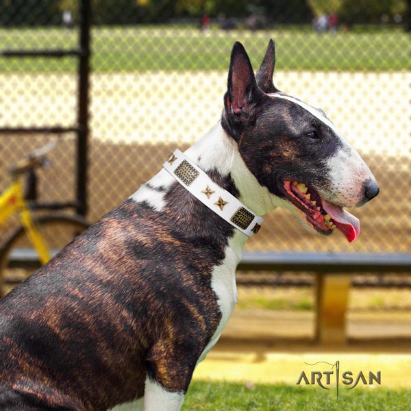 English Bull Terrier embellished full grain natural leather collar with rust resistant fittings