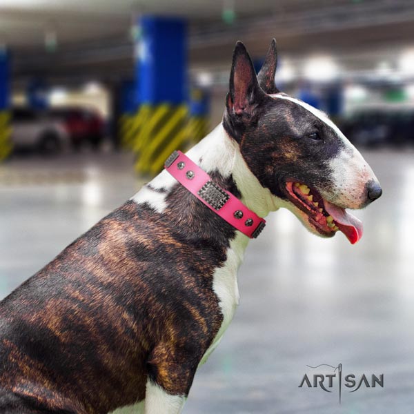 English Bull Terrier stunning full grain leather collar with rust-proof buckle