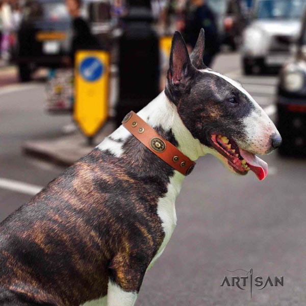 English Bull Terrier handmade full grain natural leather collar with corrosion proof traditional buckle