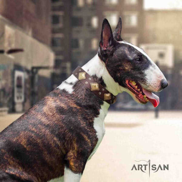 English Bull Terrier handcrafted natural leather collar with rust resistant hardware