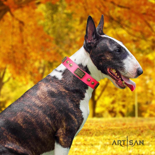 English Bull Terrier stylish design genuine leather collar with corrosion resistant d-ring