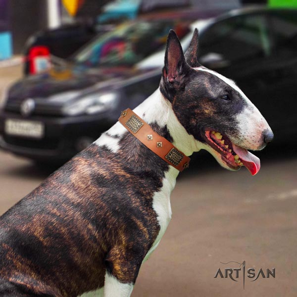 English Bull Terrier adorned full grain leather collar with corrosion proof traditional buckle