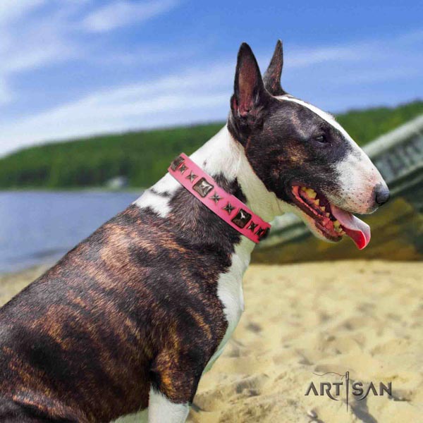 English Bull Terrier exquisite full grain leather collar with corrosion resistant d-ring