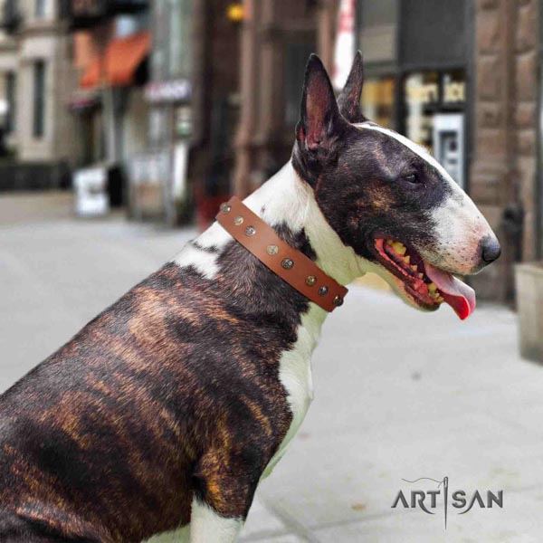 English Bull Terrier convenient full grain genuine leather collar with corrosion resistant d-ring