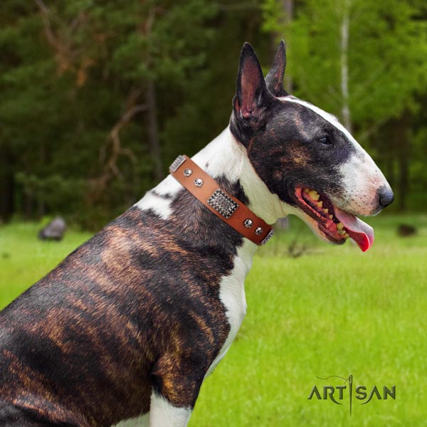 English Bull Terrier perfect fit natural leather collar with rust resistant traditional buckle