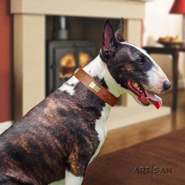 English Bull Terrier extraordinary full grain genuine leather collar with rust-proof buckle