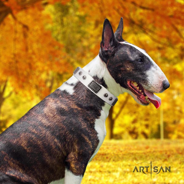 English Bull Terrier convenient leather collar with rust resistant buckle