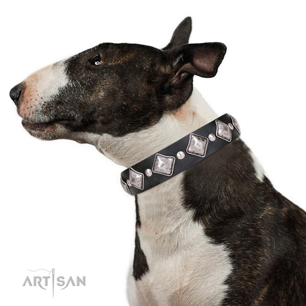 English Bull Terrier studded natural genuine leather dog collar for handy use