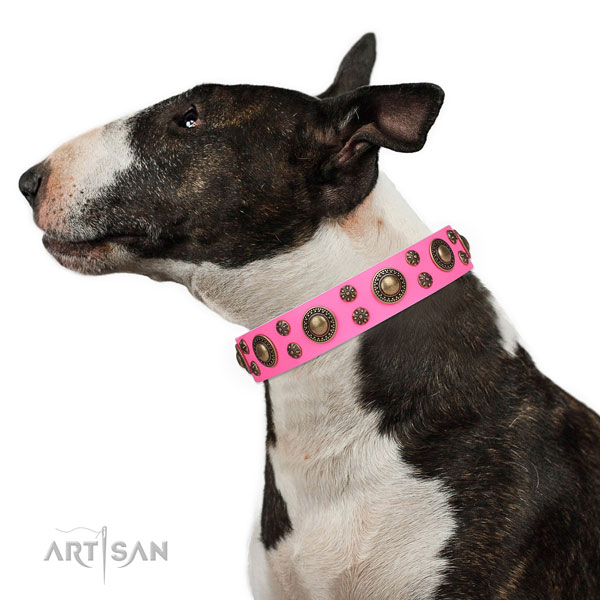 English Bull Terrier amazing natural genuine leather dog collar for daily use