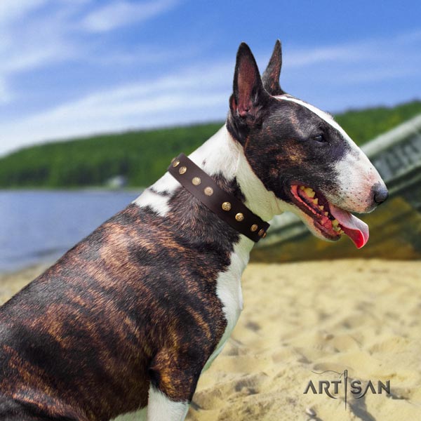 English Bull Terrier handcrafted full grain natural leather collar with rust resistant buckle