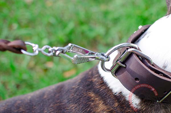 Leather English Bullterrier Collar with Strong D-Ring