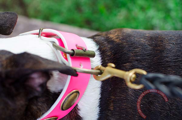 English Bullterrier pink leather collar of genuine materials with plates for any activity