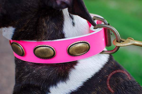 English Bullterrier pink leather collar with non-corrosive fittings for professional use