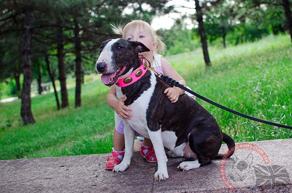English Bullterrier pink leather collar with reliable quick release buckle for improved control