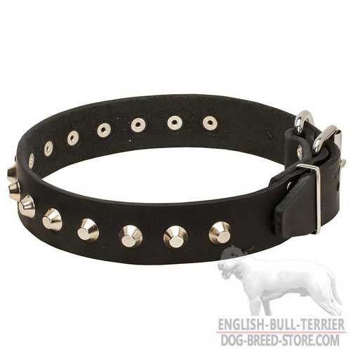 Nickel-plated decorative cones of Bull Terrier Collar