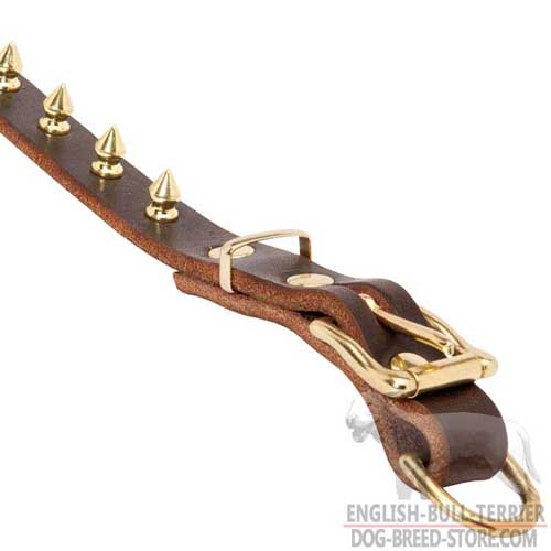 Gold-Like Brass Fittings on Fashion Leather Dog Collar