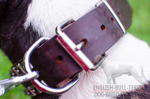 Strong Nickel Plated Hardware of Studded Leather Dog Collar