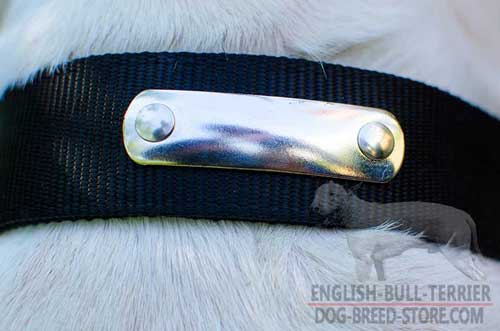 Rust Proof Nickel Plated Identification Tag on Nylon Dog Collar