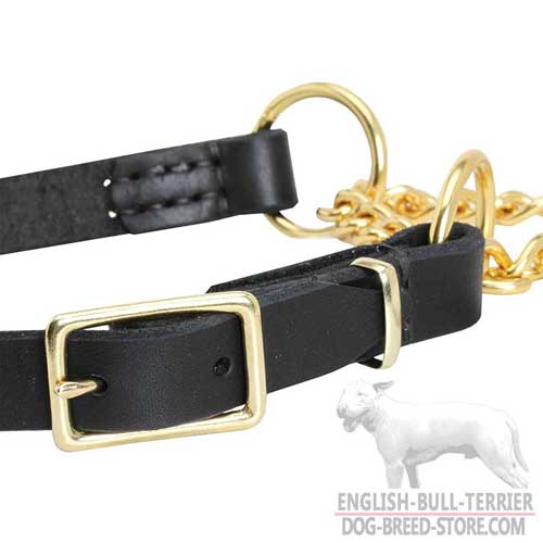 English Bull Terrier Collar Made of Leather and Brass