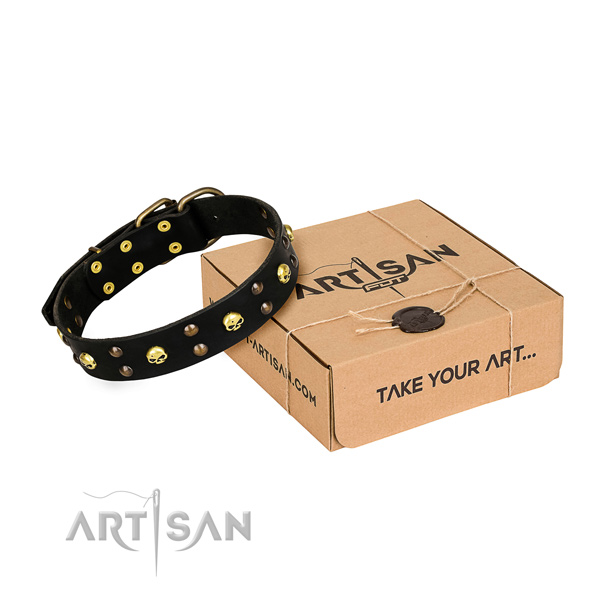 Sturdy leather dog collar with rust-resistant elements