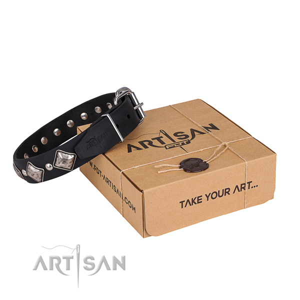 Day-to-day leather dog collar with fashionable decorations