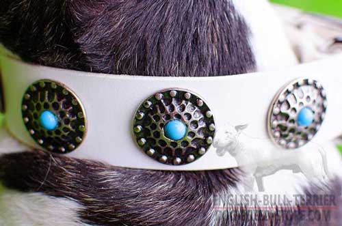 Decorative Nickel Circles on Fabulous White Leather Dog Collar