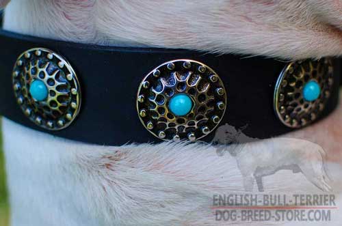 Designer Nickel Plated Circles on Fashion Leather Dog Collar