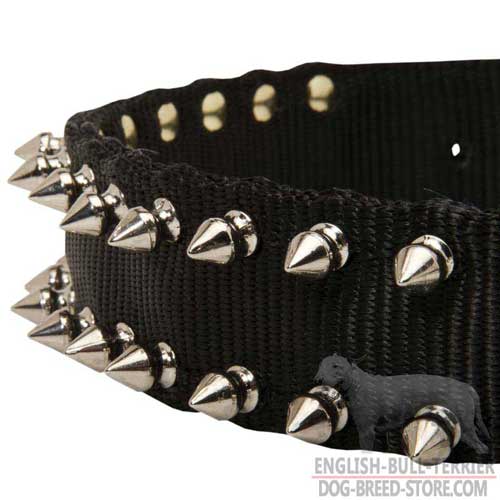 Stylish Spikes on Nylon Bull Terrier Collar