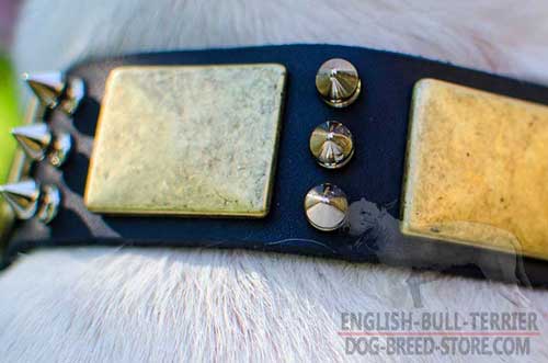 Rustless Plates And Spikes On Strong Leather Dog Collar