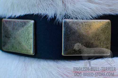 Vintage Look Rusted Nickel Plates on Walking Leather Dog Collar