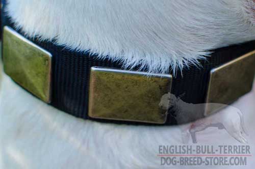 Durable Nickel Plates On Any Weather Walking Nylon Dog Collar