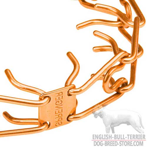 Shiny Prongs on Bull Terrier Pinch Collar for Safe Walking