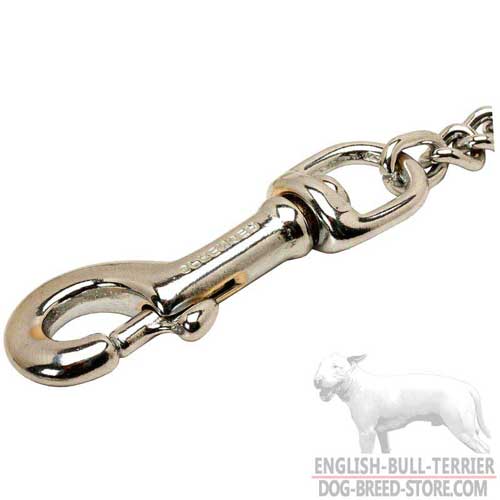 Strong Snap Hook on Walking Bull Terrier Coupler