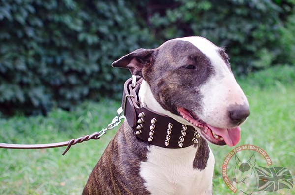 Decorated Leather English Bullterrier Collar