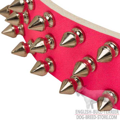 Nickel Spikes on Hand Made Leather Dog Collar