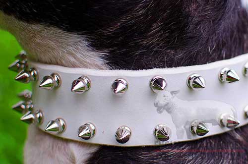 Solid Silver-Like Spikes On White Leather Dog Collar