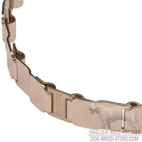 Durable Links on Stainless Steel Bull Terrier Pinch Collar