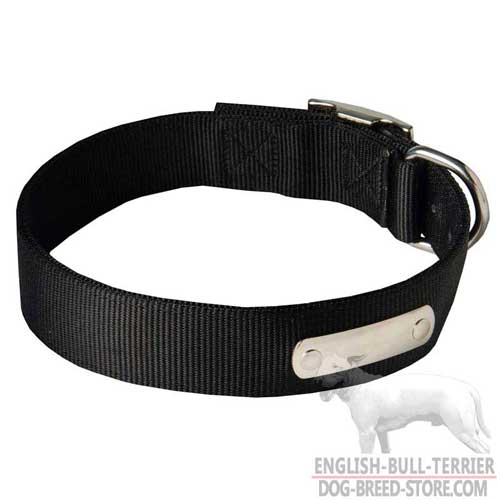 Training Nylon Bull Terrier Collar with ID Tag