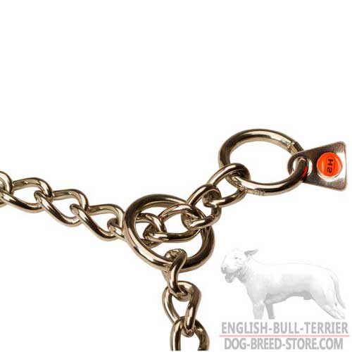 O-Rings on Bull Terrier Choke Collar 