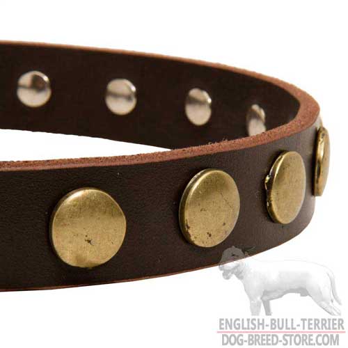 Vintage Brass Studs On Leather Dog Collar 