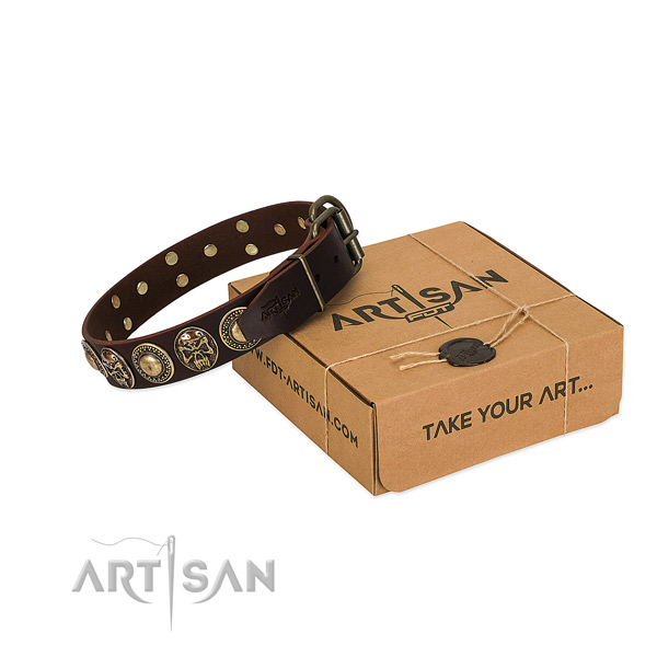 Studded full grain genuine leather dog collar for stylish walking