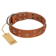 "Dreamy Gleam" FDT Artisan Tan Leather English Bull Terrier Collar Adorned with Stars and Squares