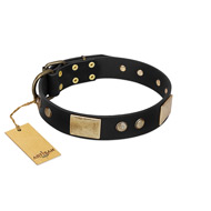 "Antique Gloss" FDT Artisan Black Leather English Bull Terrier Collar with Bronze-like Plates and Small Studs