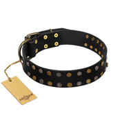 "Star Way" FDT Artisan Black Leather English Bull Terrier Collar with Bronze-like and Silver-like Star Studs