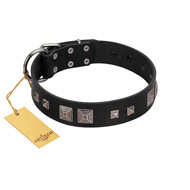 "Foregone Riches" FDT Artisan Black Leather English Bull Terrier Collar with Old Silver-like Square Studs and Pyramids