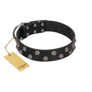 "Power-Flower" FDT Artisan Black Leather English Bull Terrier Collar with Two Rows of Silver-like Studs with Engraved Flowers