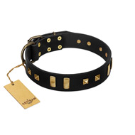"Fit for Royalty" FDT Artisan Black Leather English Bull Terrier Collar with Plates and Small Square Studs